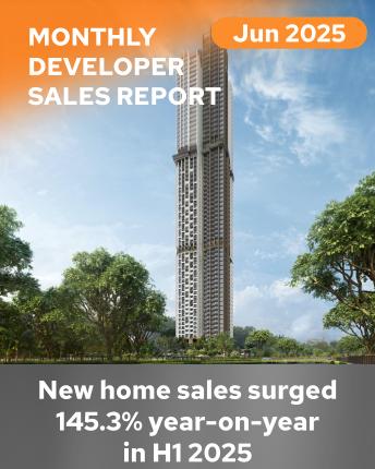 Monthly Developer Sales June 2025